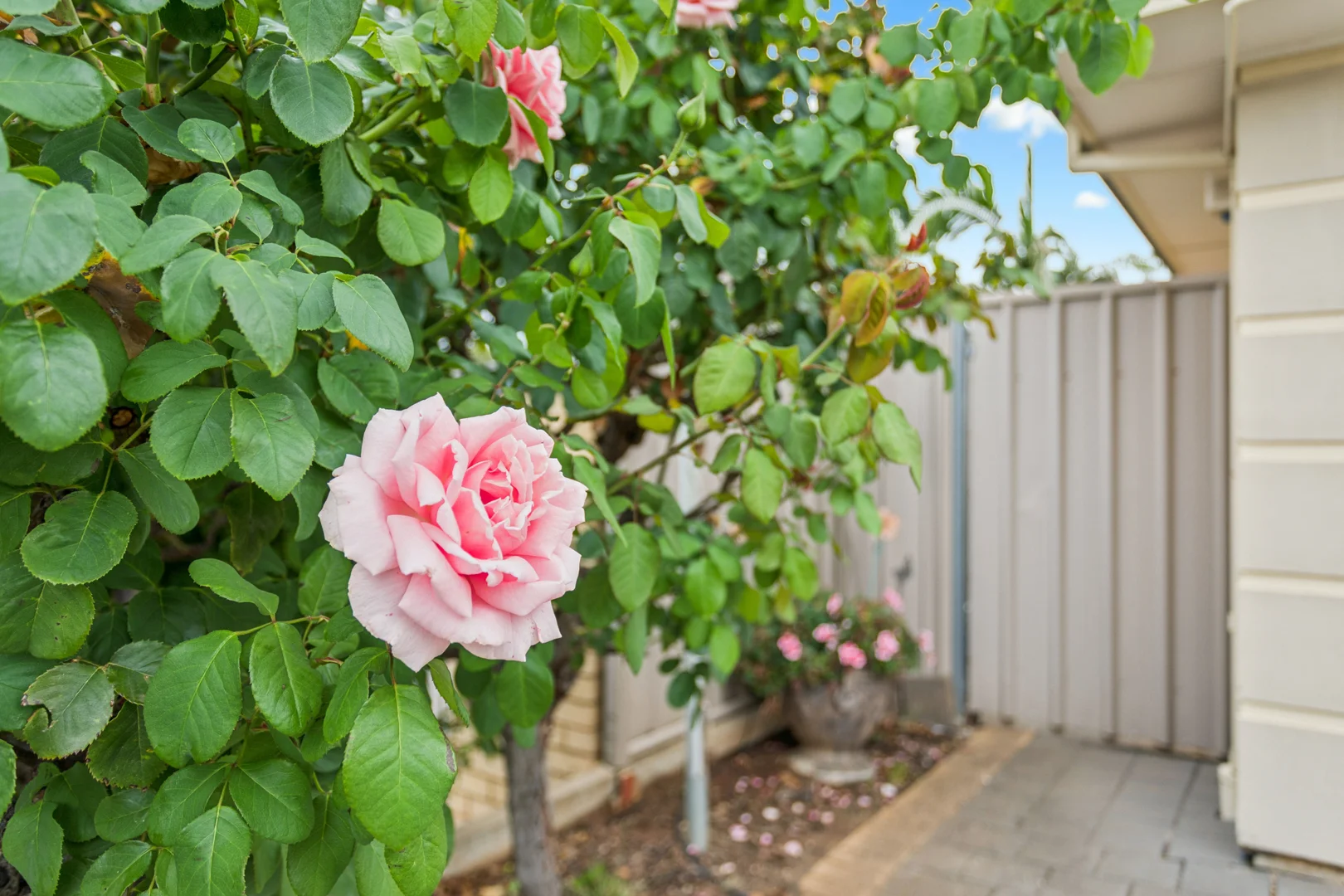 Additional image 22 of 17 Mcguire Court, Hackham SA 5163