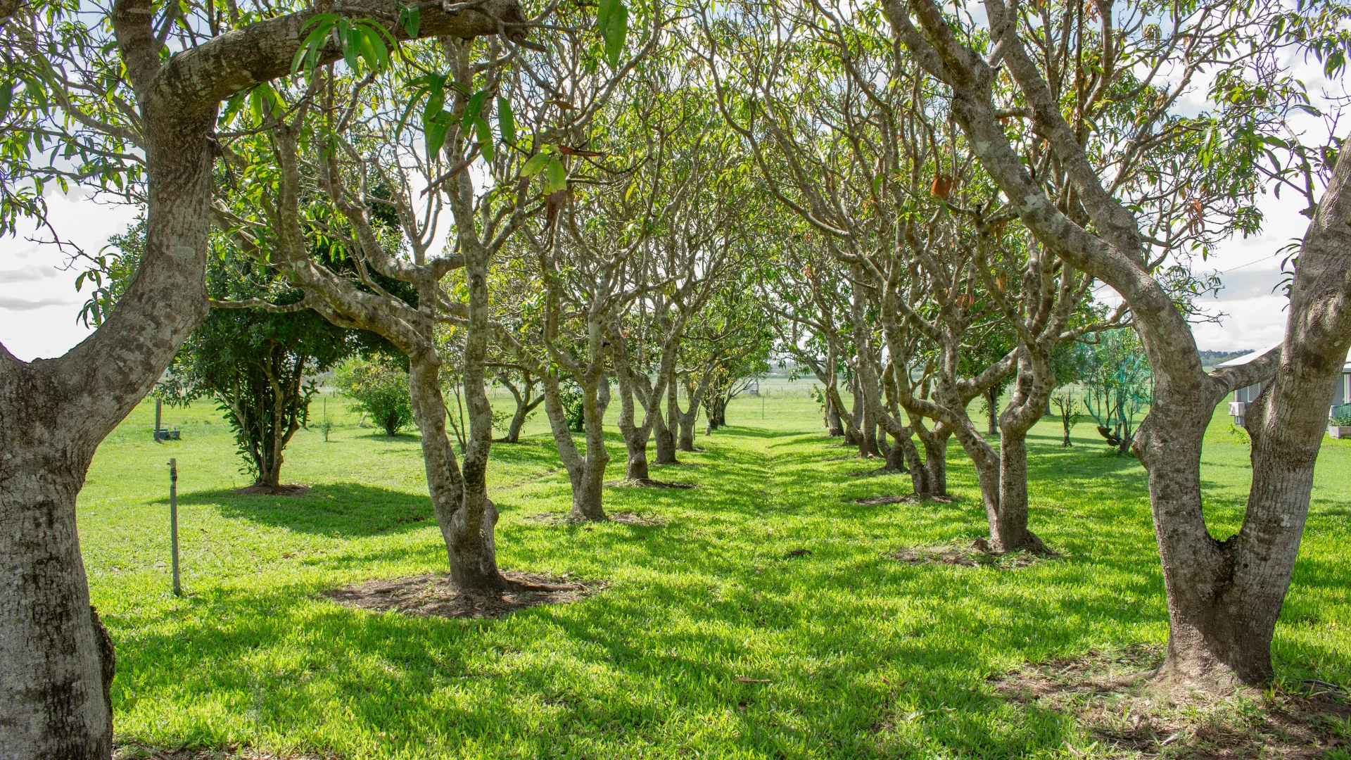 Additional image 28 of 290 Bells Road, Palmyra QLD 4751