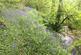 Additional image 39 of Penybont, Carmarthenshire SA33