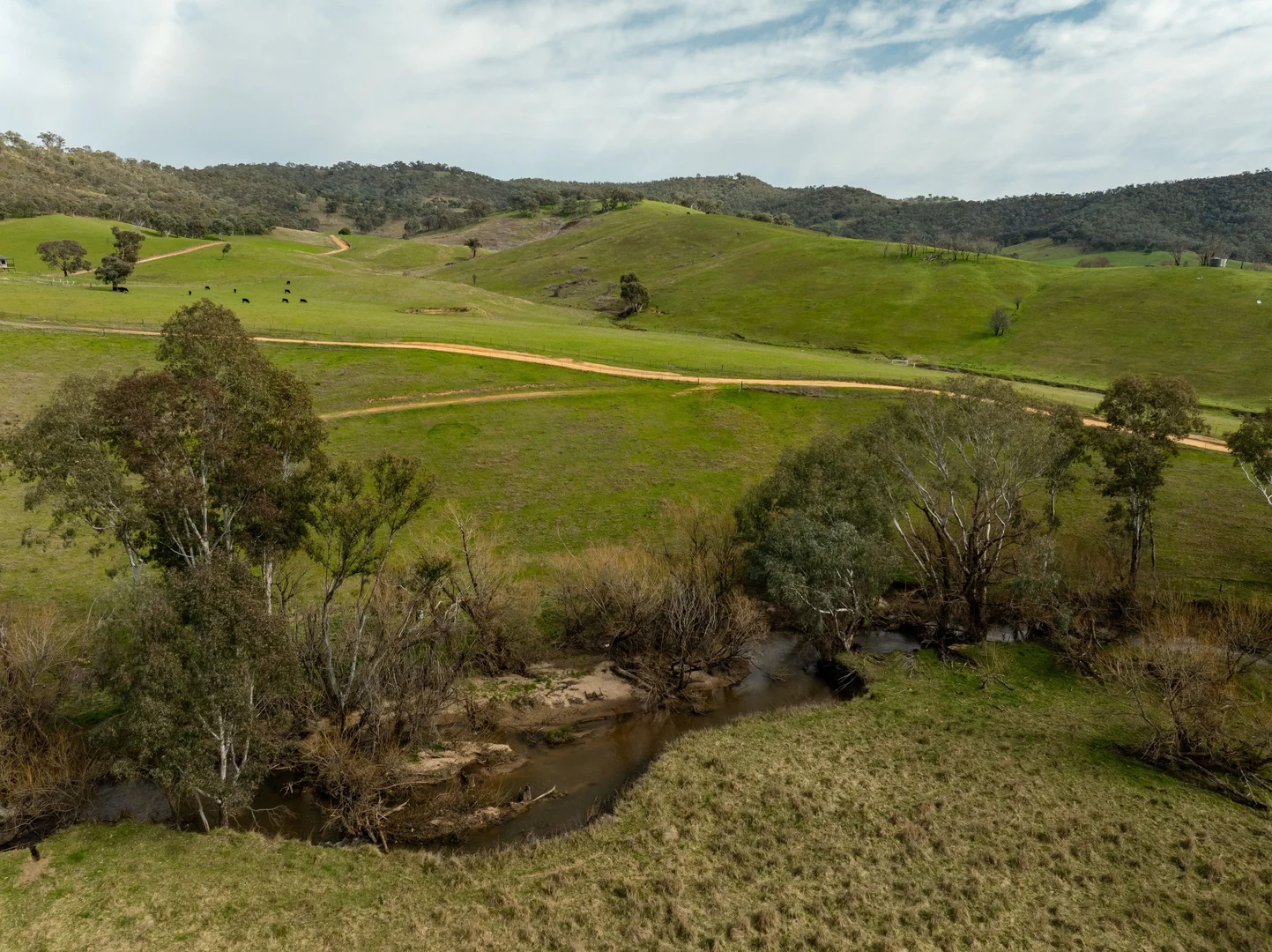 Additional image 34 of 2543 Westbrook Road, Oberne Creek NSW 2650