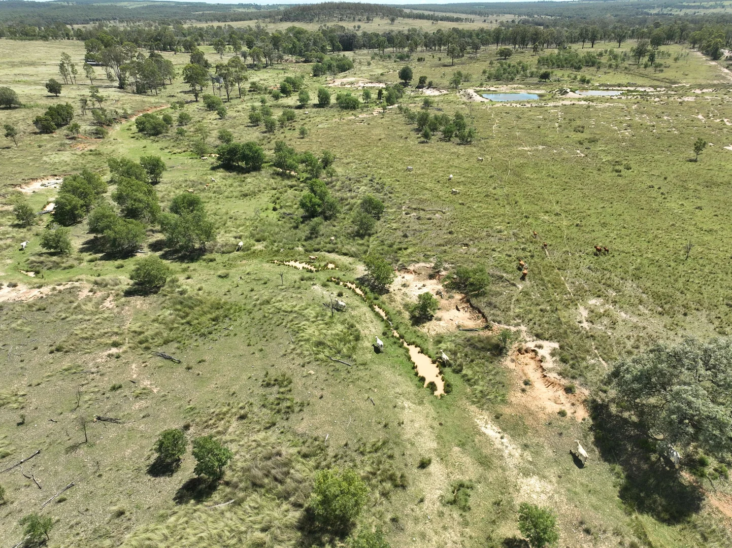 Additional image 5 of Allies Creek Road, Monogorilby QLD 4626