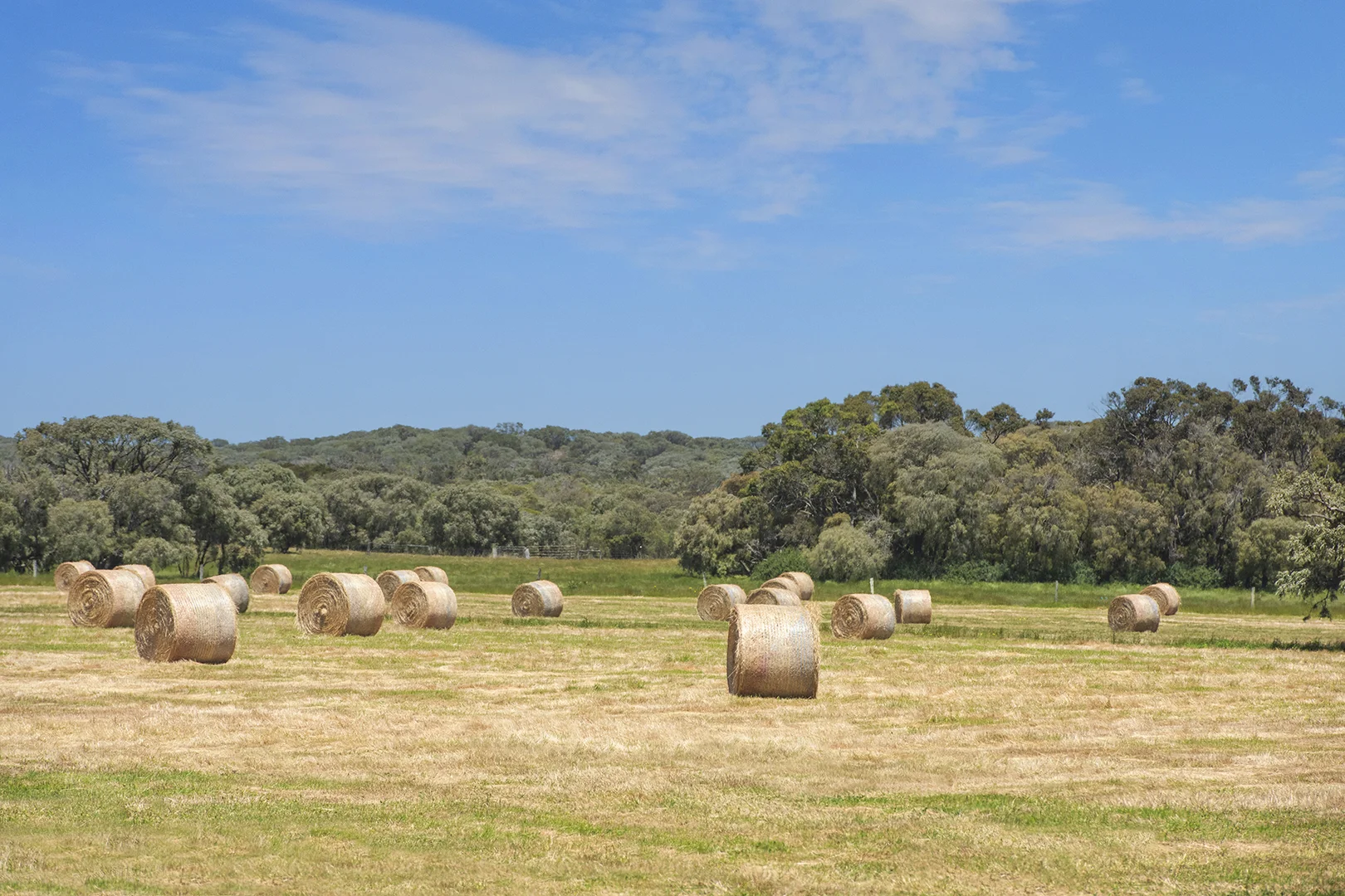 Additional image 13 of 1181 Scott River Road, Scott River WA 6288
