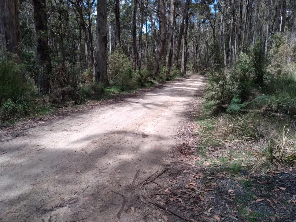Additional image 4 of Lot 1 Mount Charlie Road, Riddells Creek VIC 3431