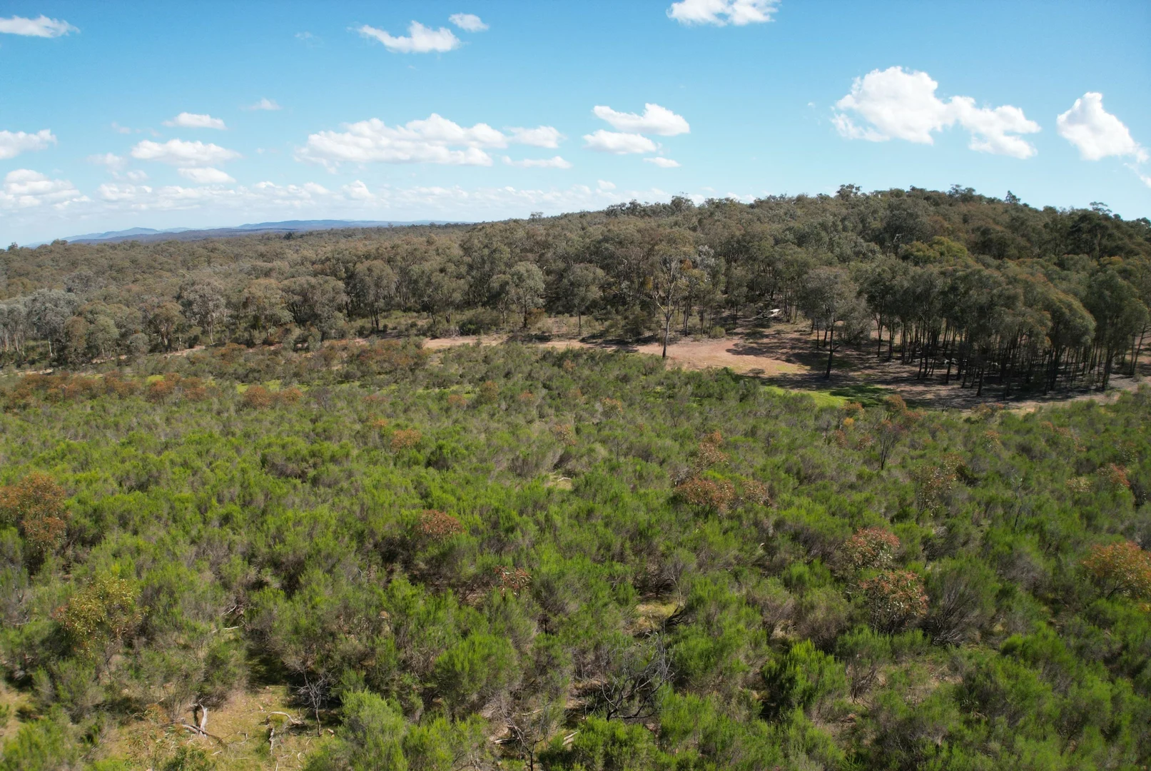 Additional image 12 of Lot 12 Heathcote-Nagambie Road, Moormbool West VIC 3523