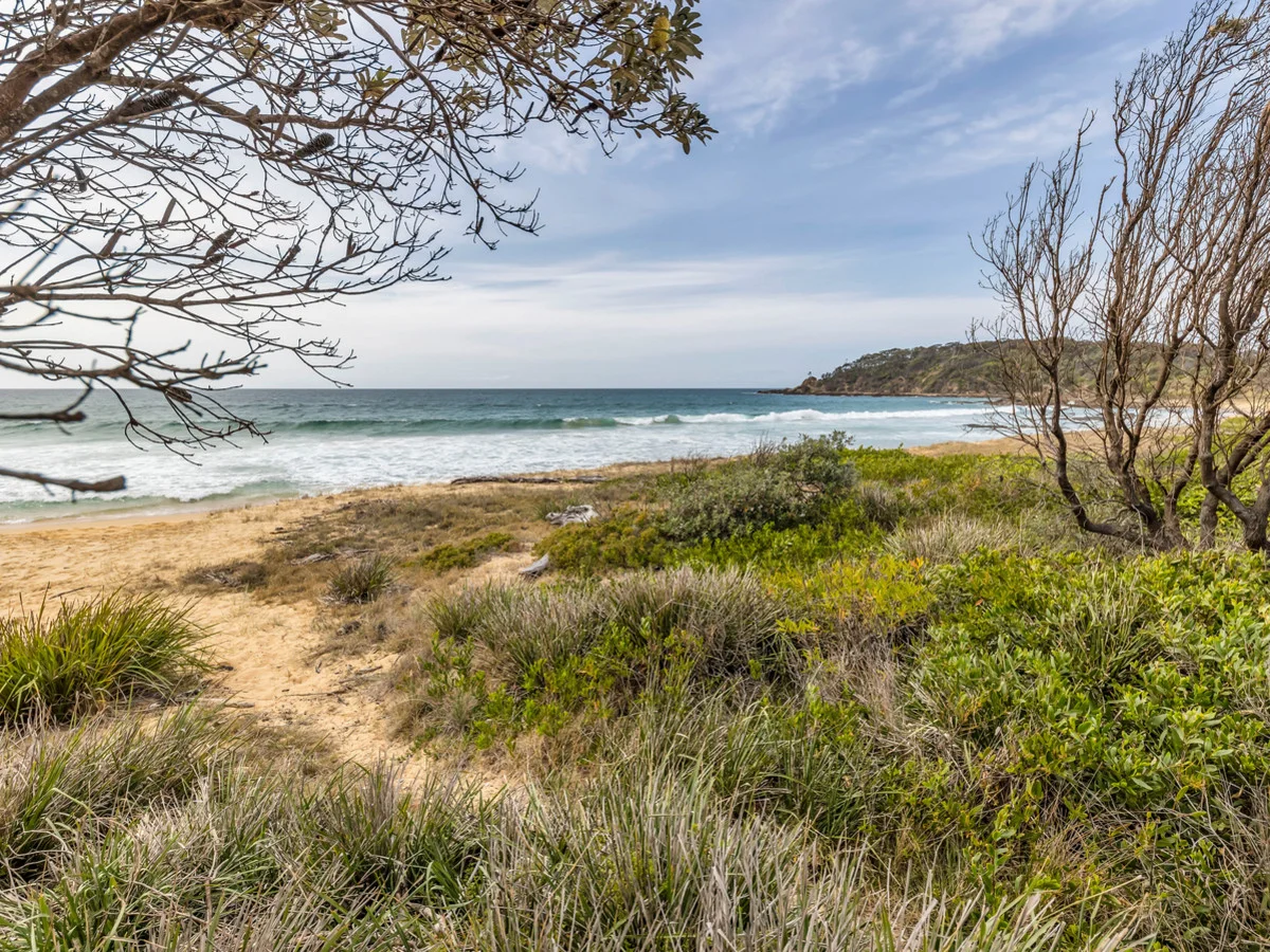 Additional image 44 of 3599 Tathra-Bermagui Road, Bermagui NSW 2546