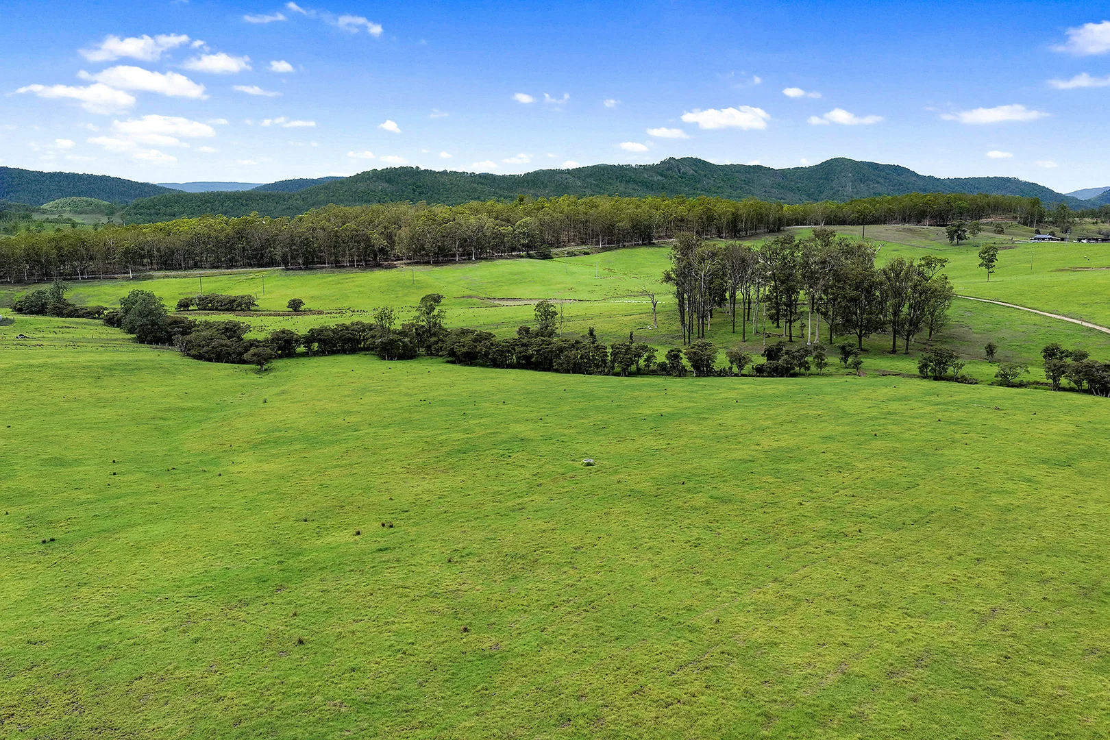 Additional image 11 of Lot 2 2135 The Bucketts Way, Wards River NSW 2422