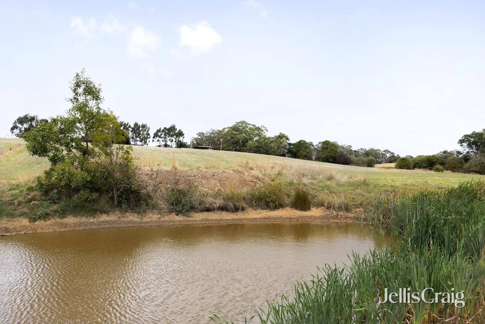 Additional image 3 of 5 Millards Road, Kilmore VIC 3764