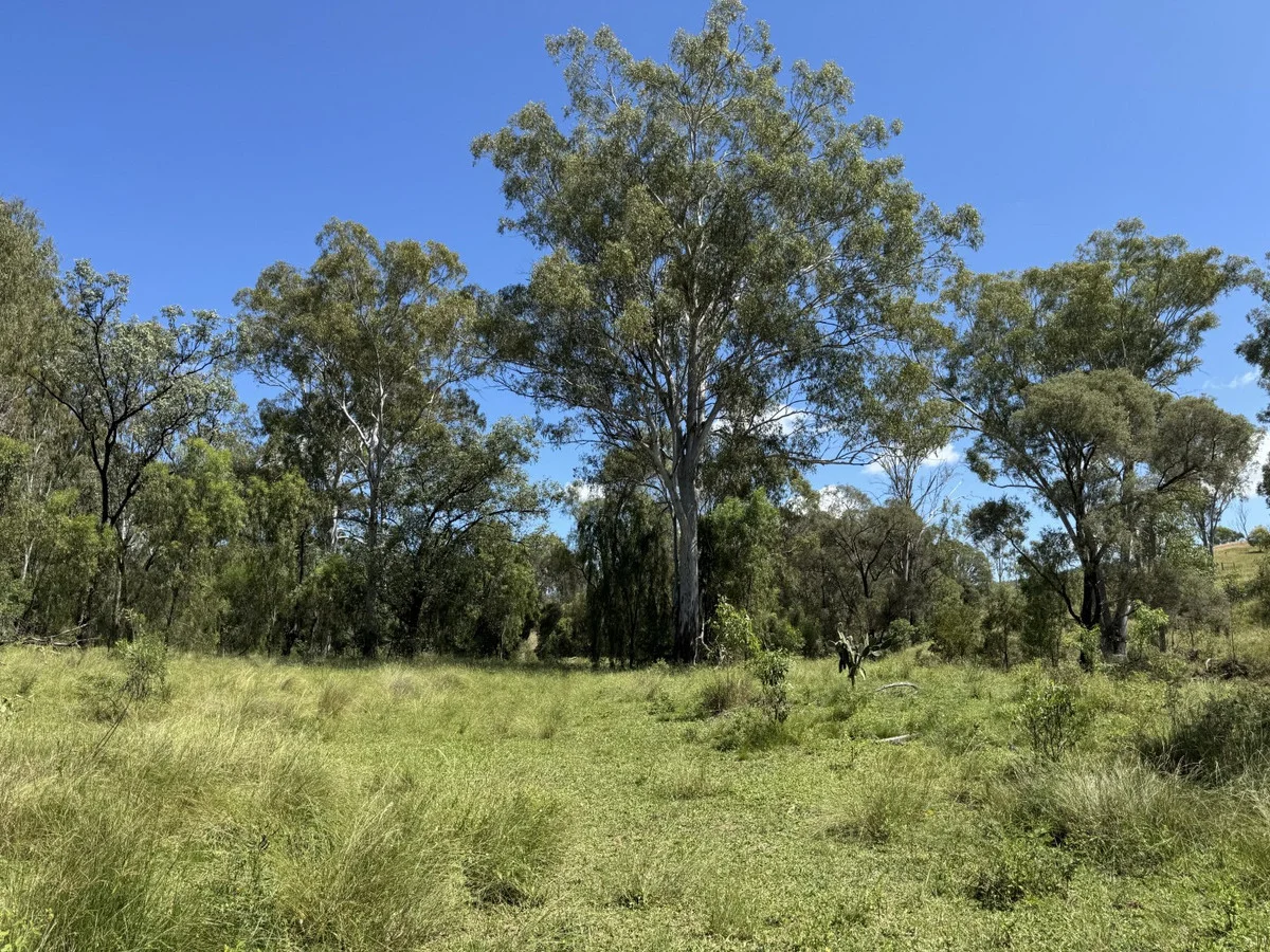 Additional image 21 of "Mustons" Frawleys Road, Thangool QLD 4716