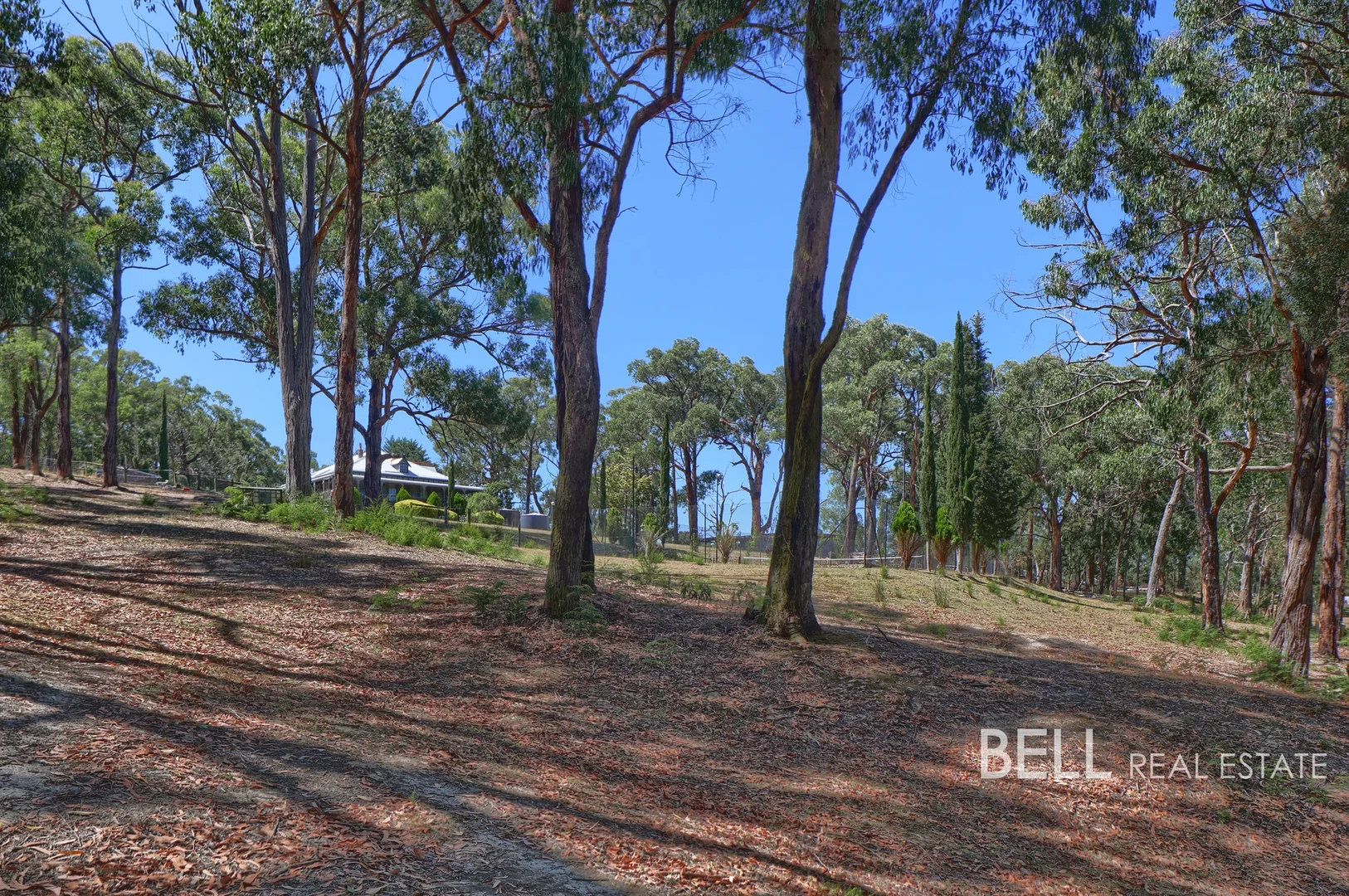 Additional image 22 of 17 Oxford Downs Road, Macclesfield VIC 3782