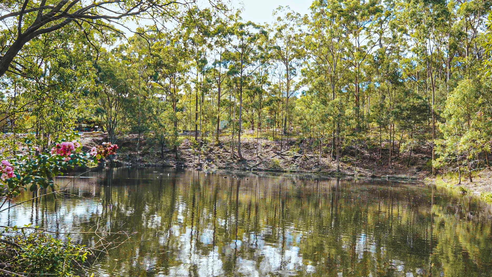 Additional image 13 of 2, 3, 4 & 5/144 Crane Crescent, Nerang QLD 4211