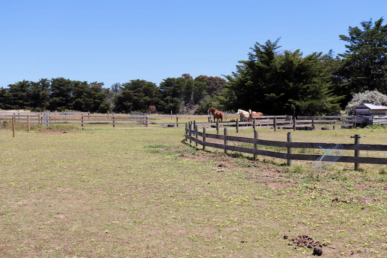 Additional image 6 of 58 & 59 Jubilee Street, Inverleigh VIC 3321