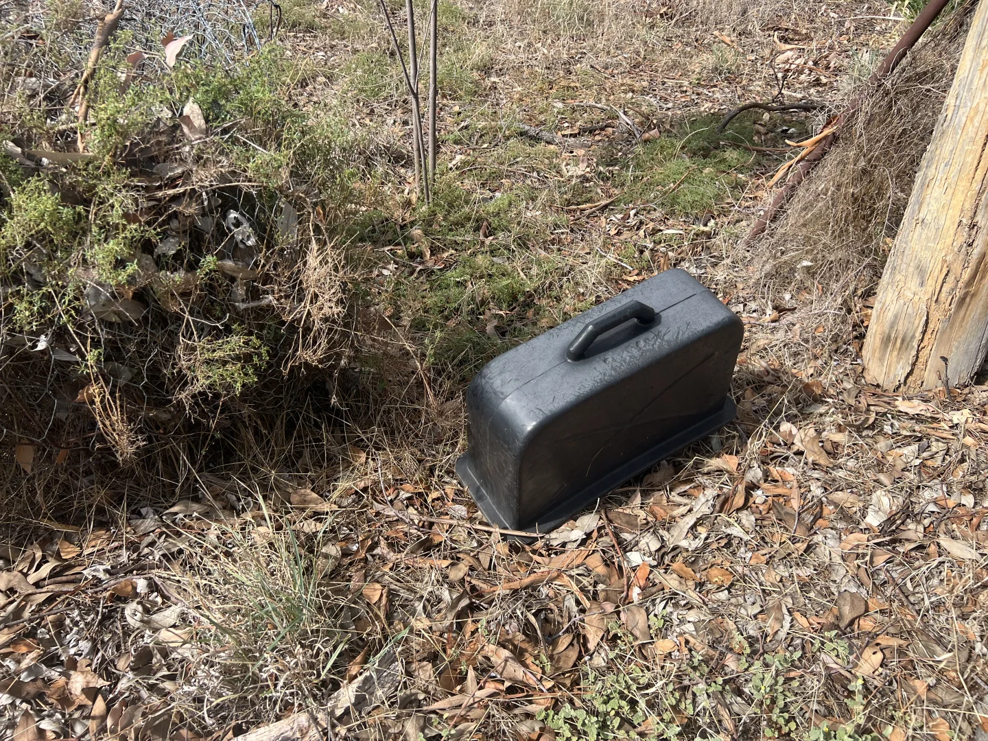 Additional image 3 of 24 Wood Street, Stockinbingal NSW 2725