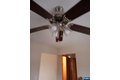 Additional image 19 of 6 Jan Ct, Elmwood Park, NJ, 07407