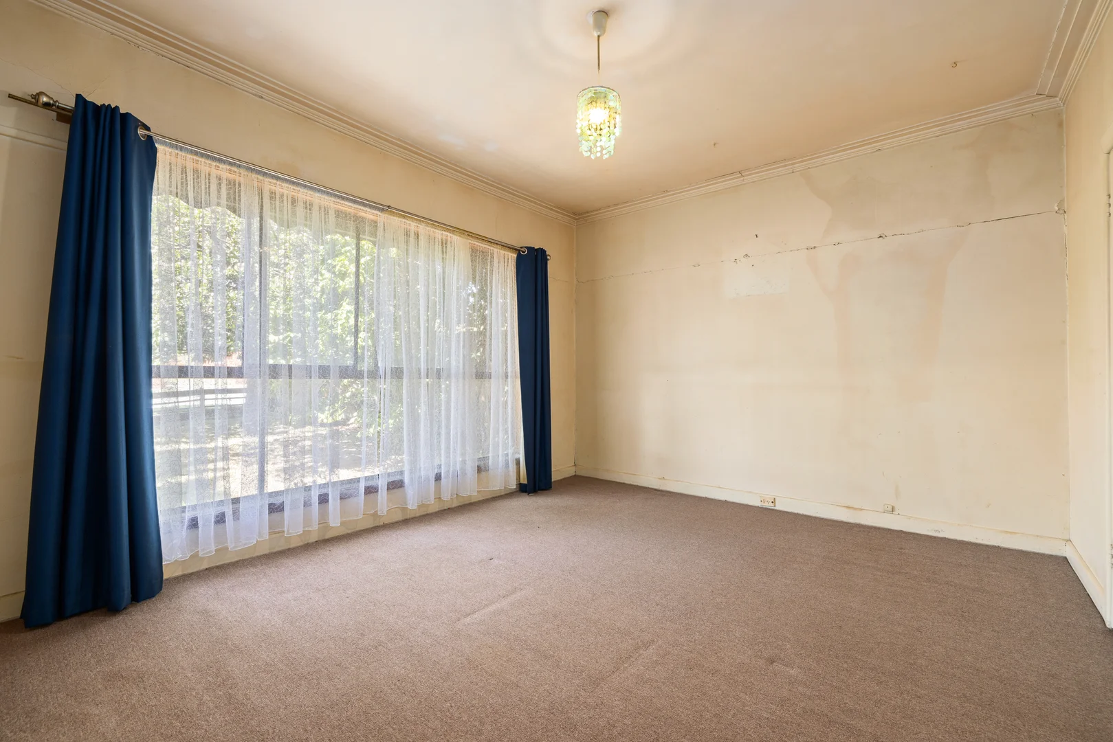 Additional image 12 of 5 Sybil Street, Hampton East VIC 3188