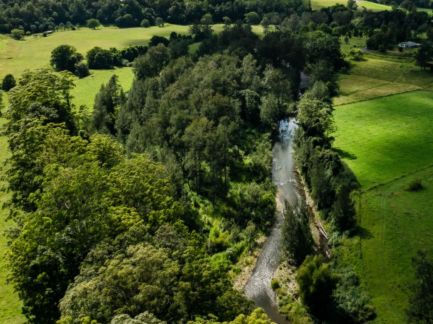 Additional image 31 of 2791 Waterfall Way, Thora NSW 2454