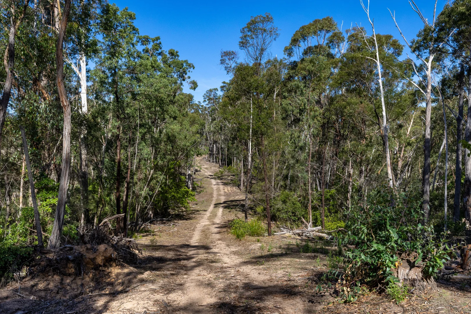Additional image 21 of 464 Dorrigo Road, Brogo NSW 2550
