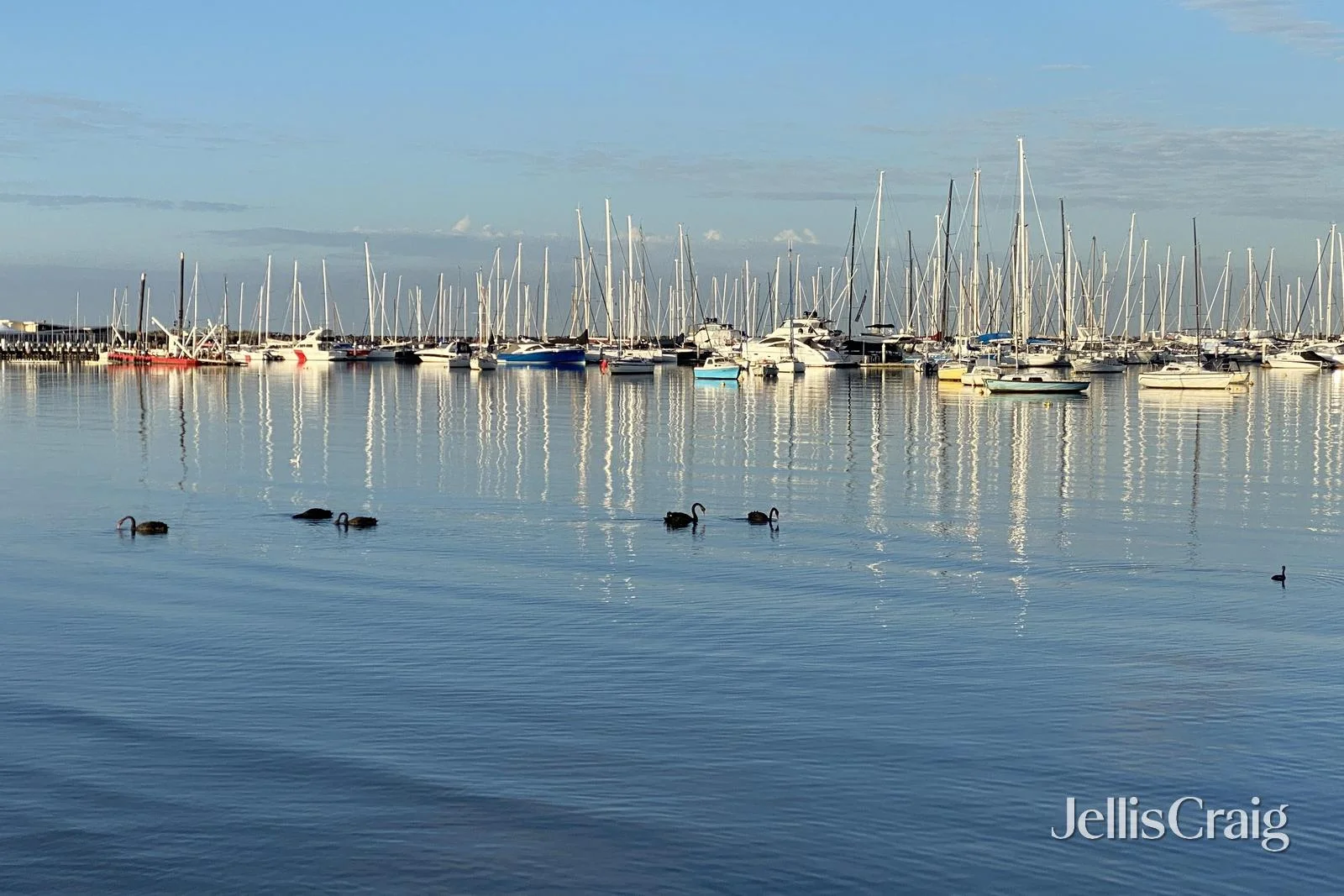 Additional image 13 of 6/56 Beach Road, Hampton VIC 3188