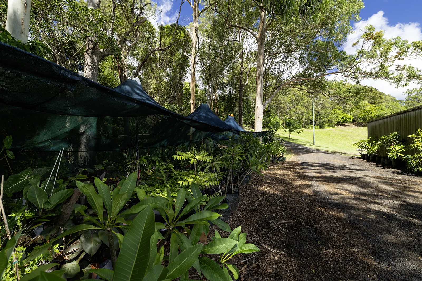 Additional image 46 of 654 Blackall Range Road, West Woombye QLD 4559