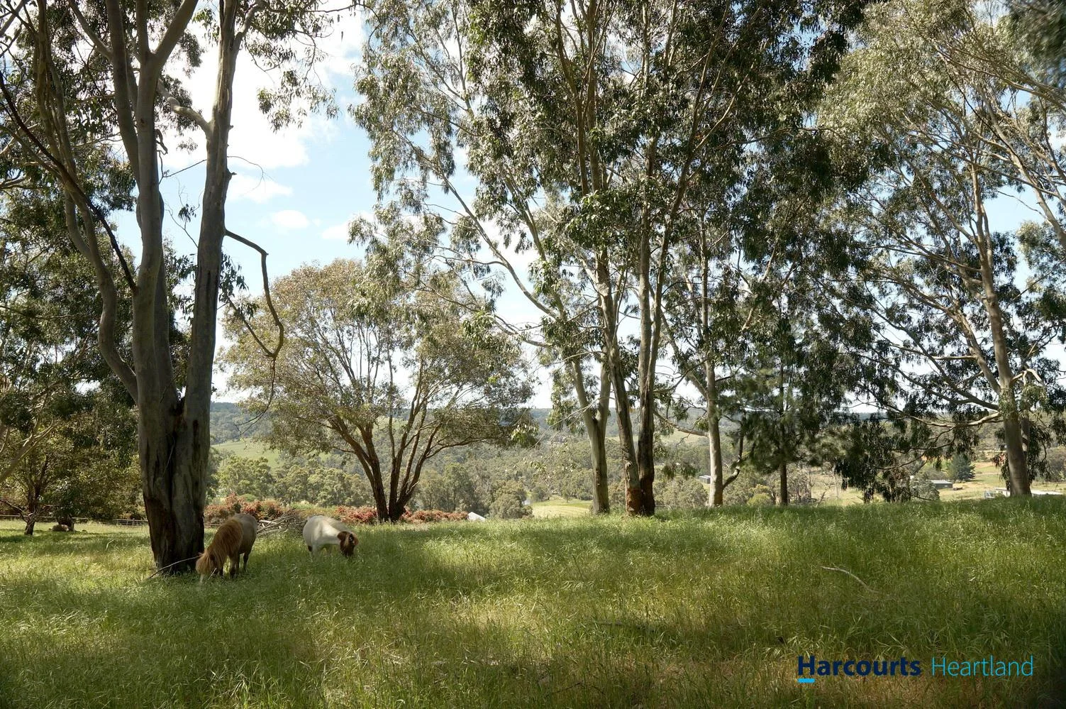 Additional image 26 of 16 Doherty Court, Kangaroo Gully WA 6255