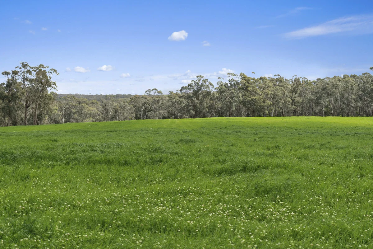 Additional image 20 of 2045 Colac-Forrest Road, Gerangamete VIC 3249