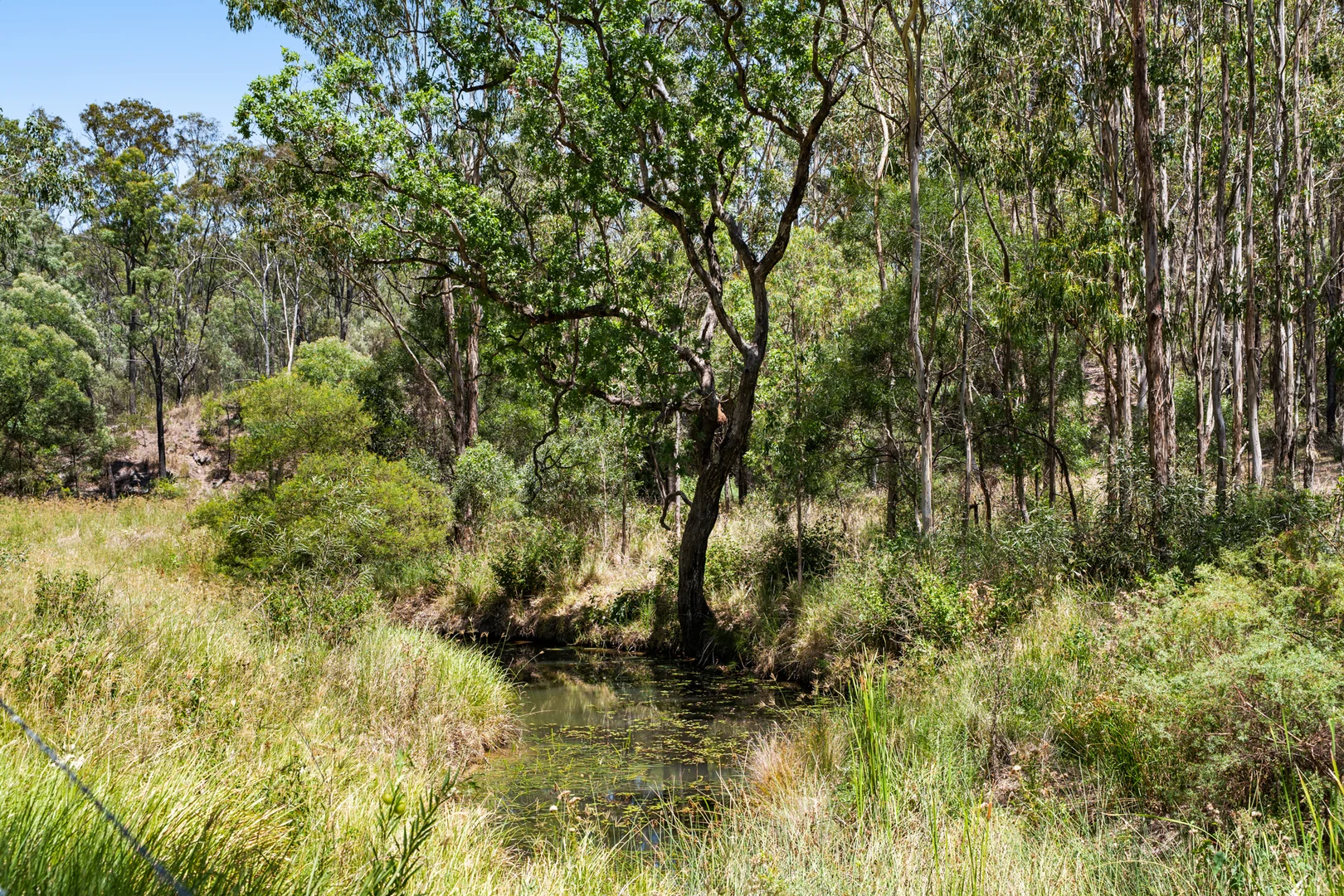 Additional image 26 of 374 Voll Road, Crows Nest QLD 4355
