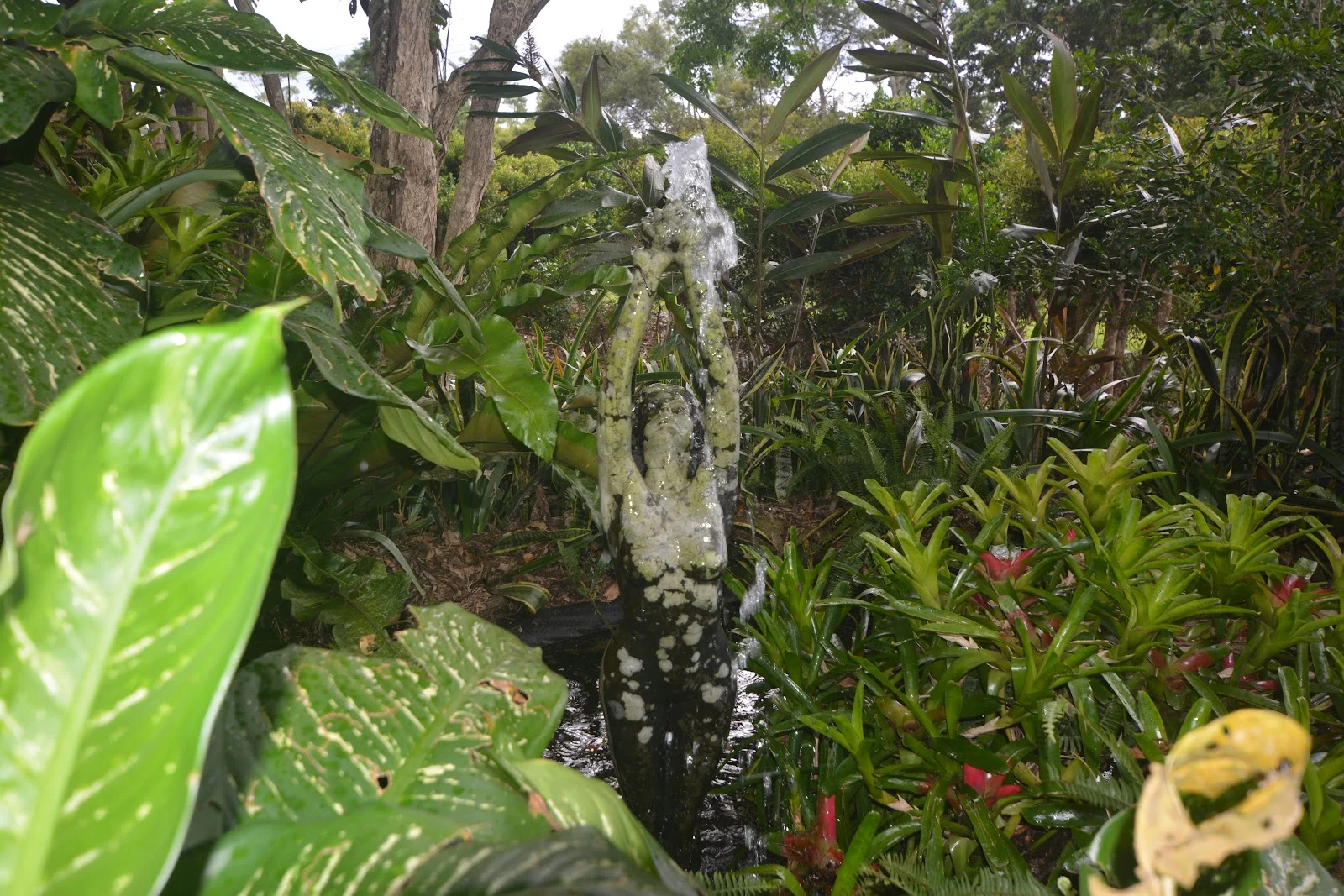 Additional image 8 of 20 Russell Road, Lake Eacham QLD 4884