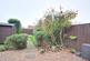 Additional image 10 of Brockenhurst Avenue, Cottingham