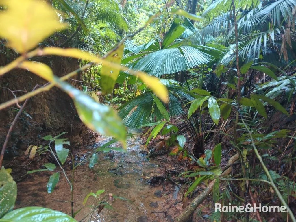 Additional image 8 of Lot 11 Milky Pine Road, Kimberley, Daintree QLD 4873