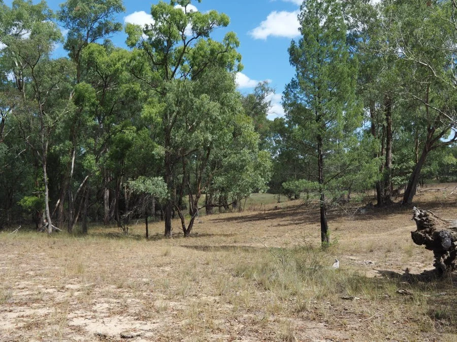 Additional image 18 of 288 Fairford Road, Warialda NSW 2402