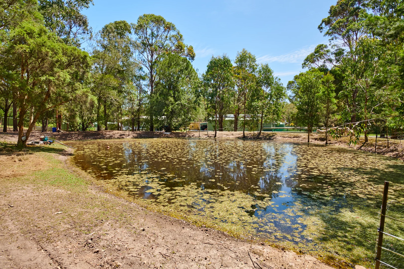 Additional image 26 of 20 Myall Forest Road, Bulahdelah NSW 2423