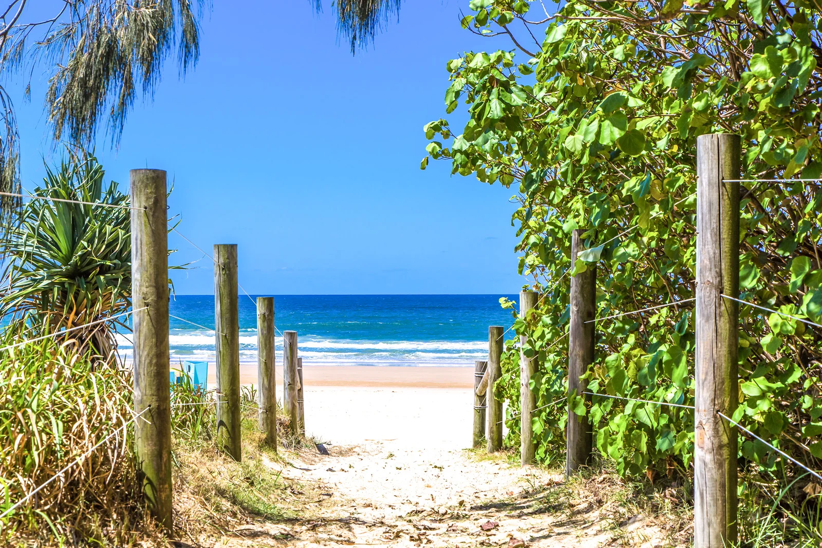 Additional image 44 of 26 Jessica Boulevard, Minyama QLD 4575