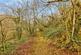 Additional image 11 of Penybont, Carmarthenshire SA33