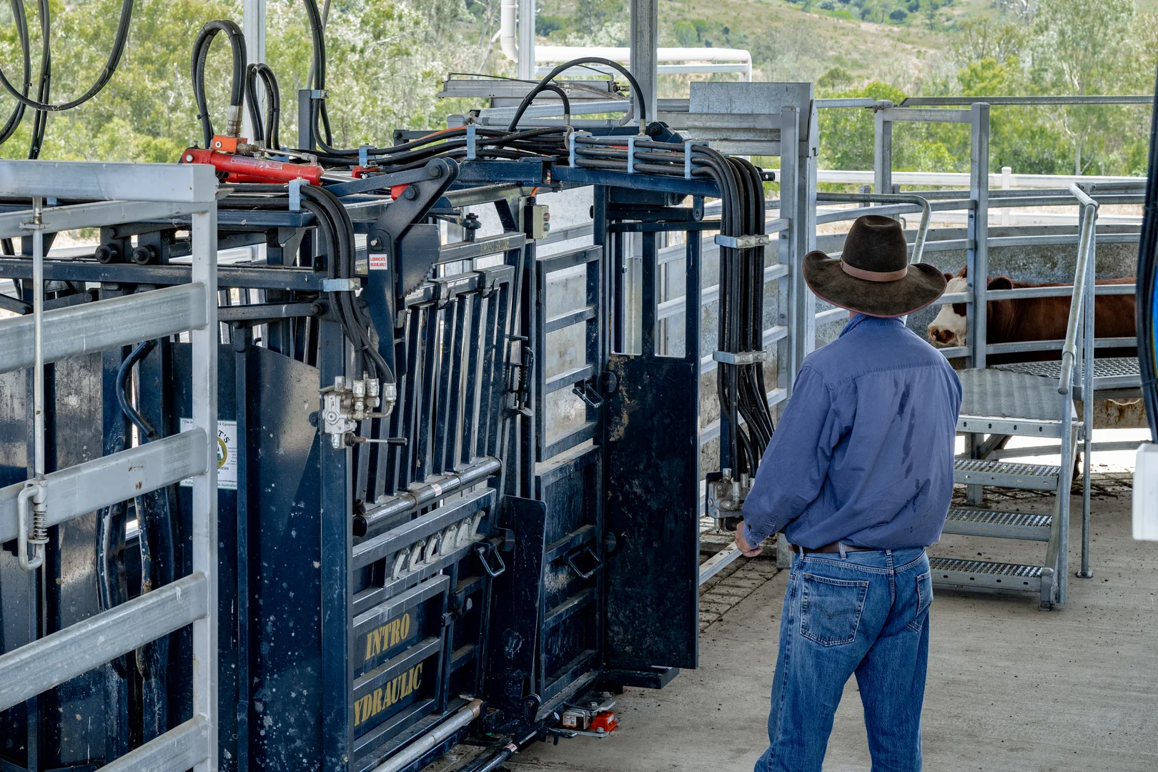 Additional image 16 of 'Double Knob' Nangur Road, Tansey QLD 4601