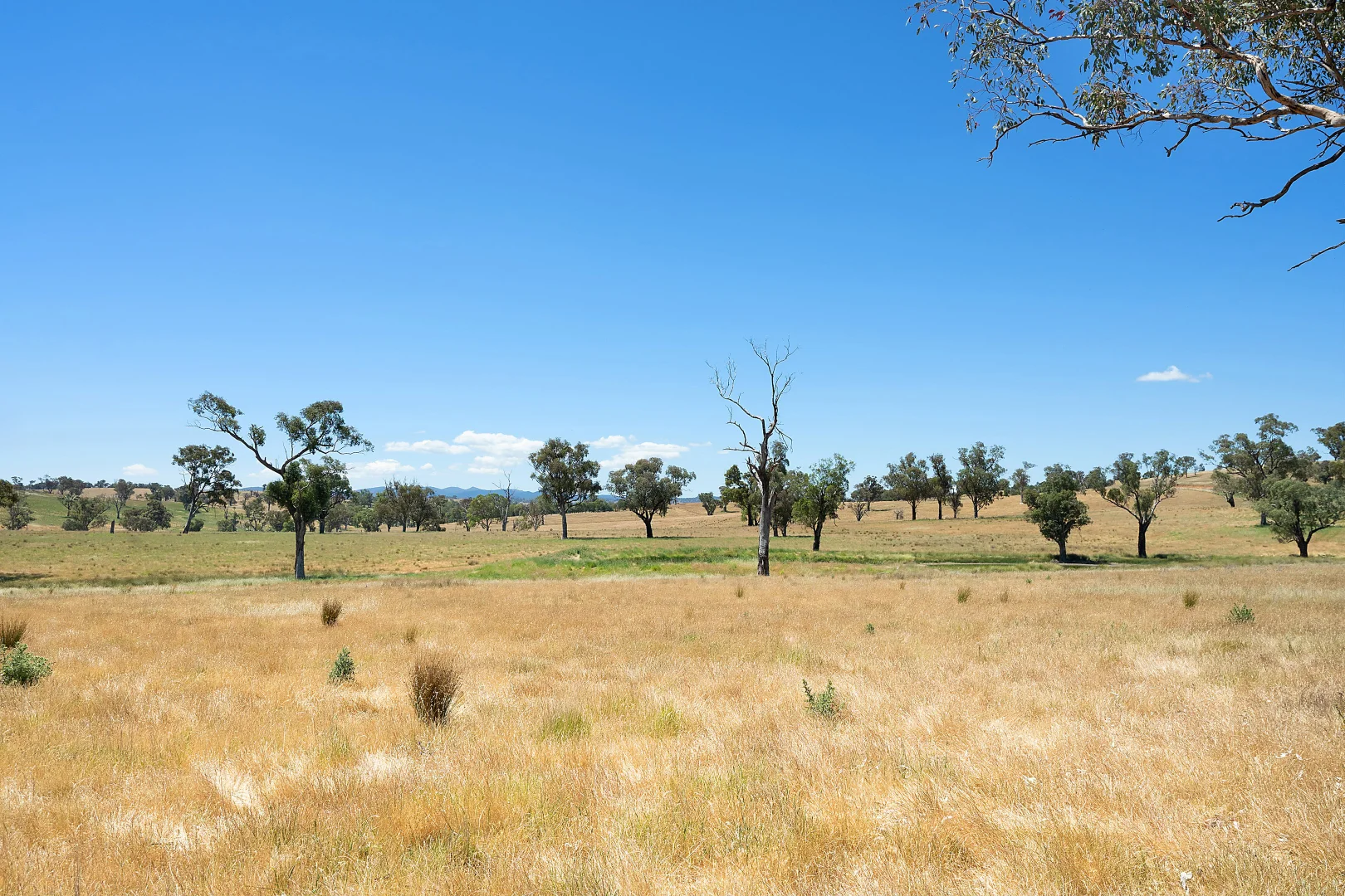 Additional image 18 of 2593 Four Mile Creek Road, Orange NSW 2800