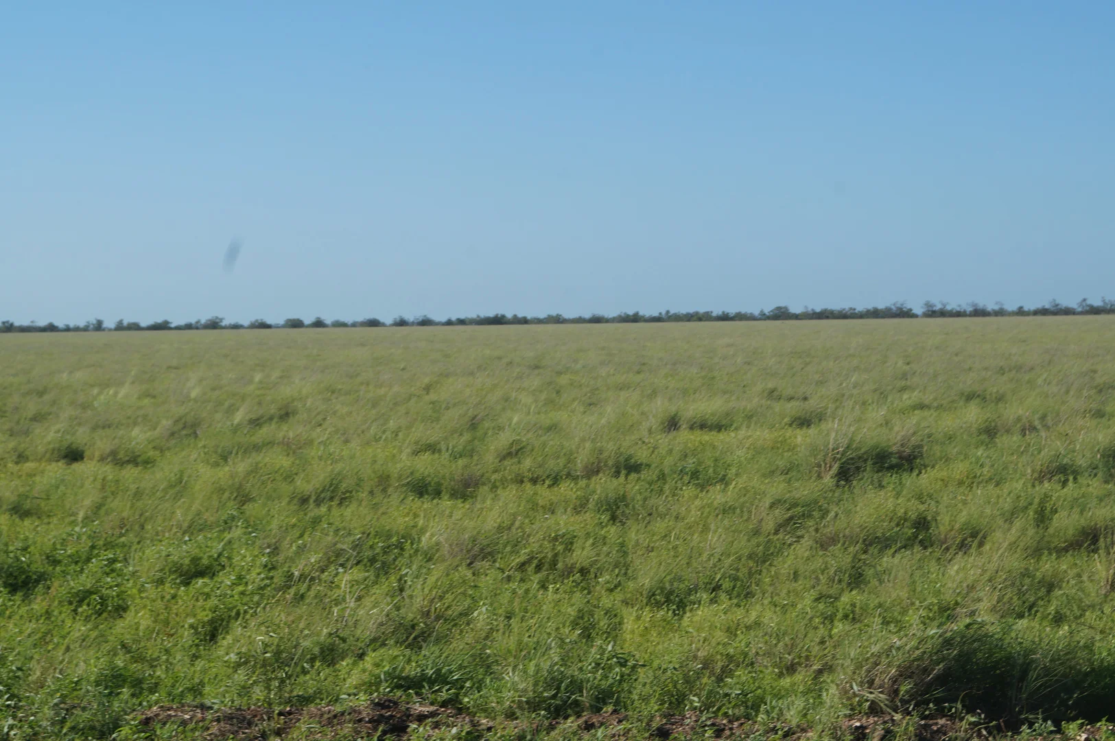 Additional image 9 of 1 Baratria Road, Longreach QLD 4730