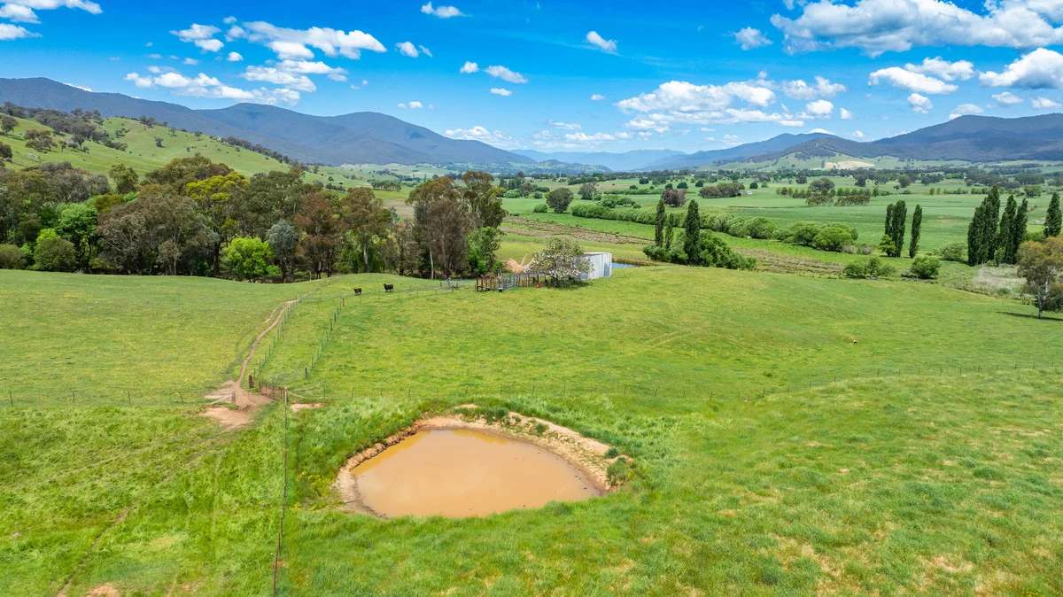 Additional image 17 of Swamp Lane, Dederang VIC 3691