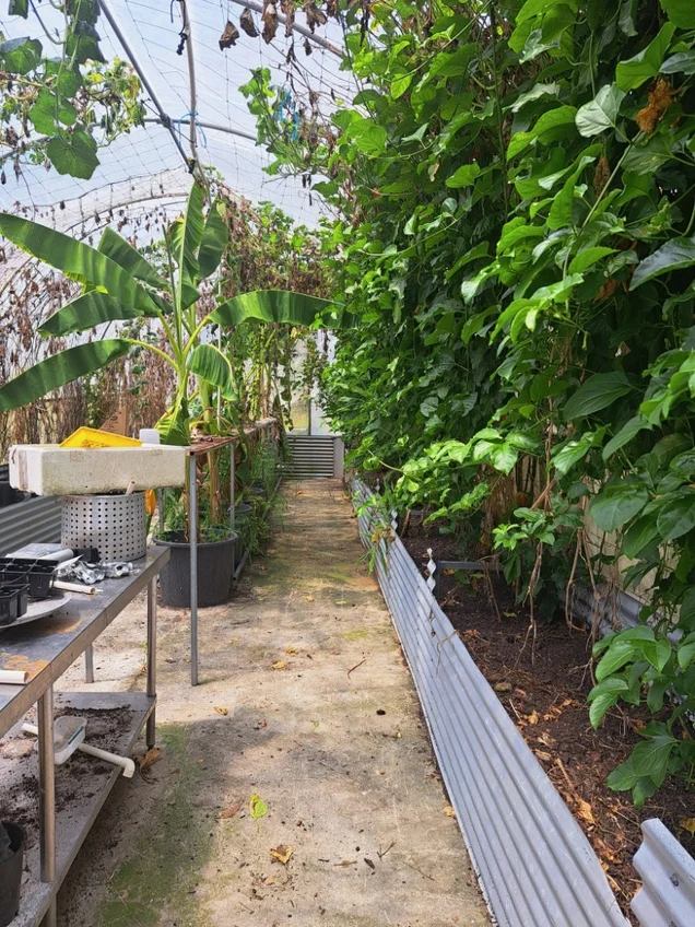 Additional image 33 of 47 Osborne Court, Wallu QLD 4570