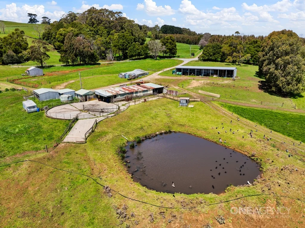 Additional image 14 of 108 Mclachlans Road, Irishtown TAS 7330