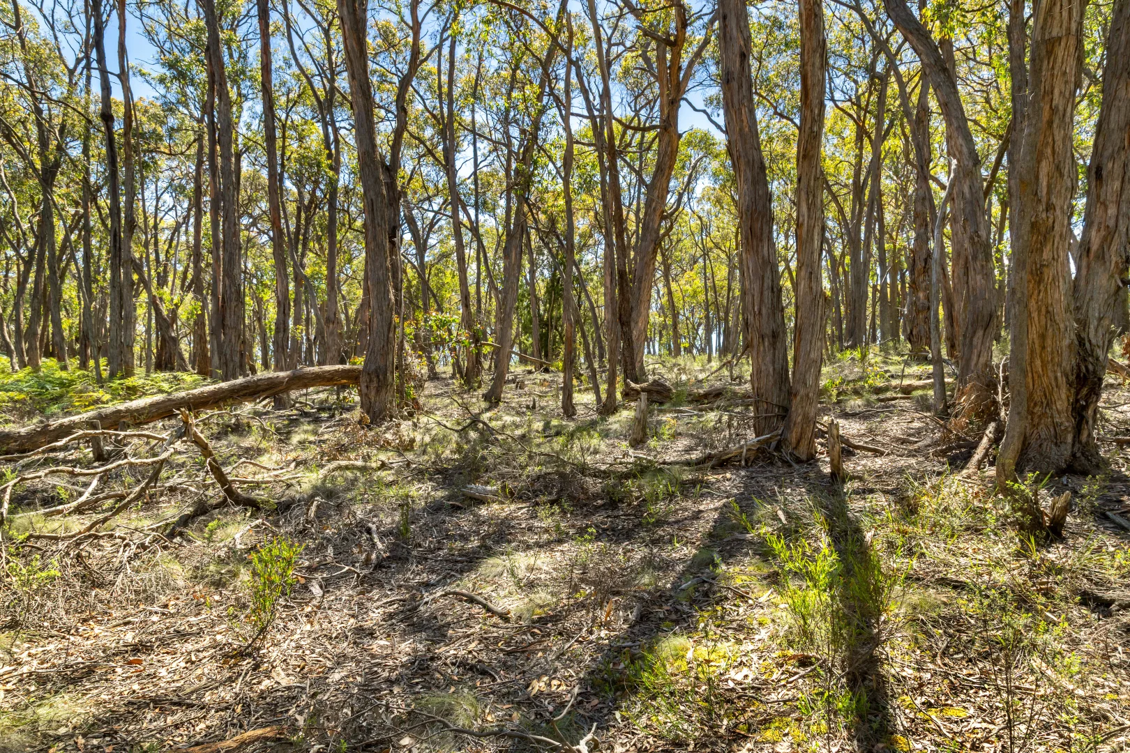 Additional image 5 of Lot 12 Rowlers Road, Snake Valley VIC 3351