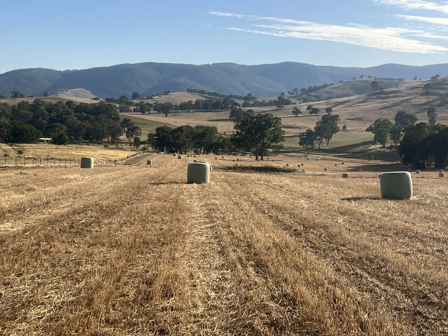 Additional image 5 of Lot 27 Sandy Creek Road, Sandy Creek VIC 3695