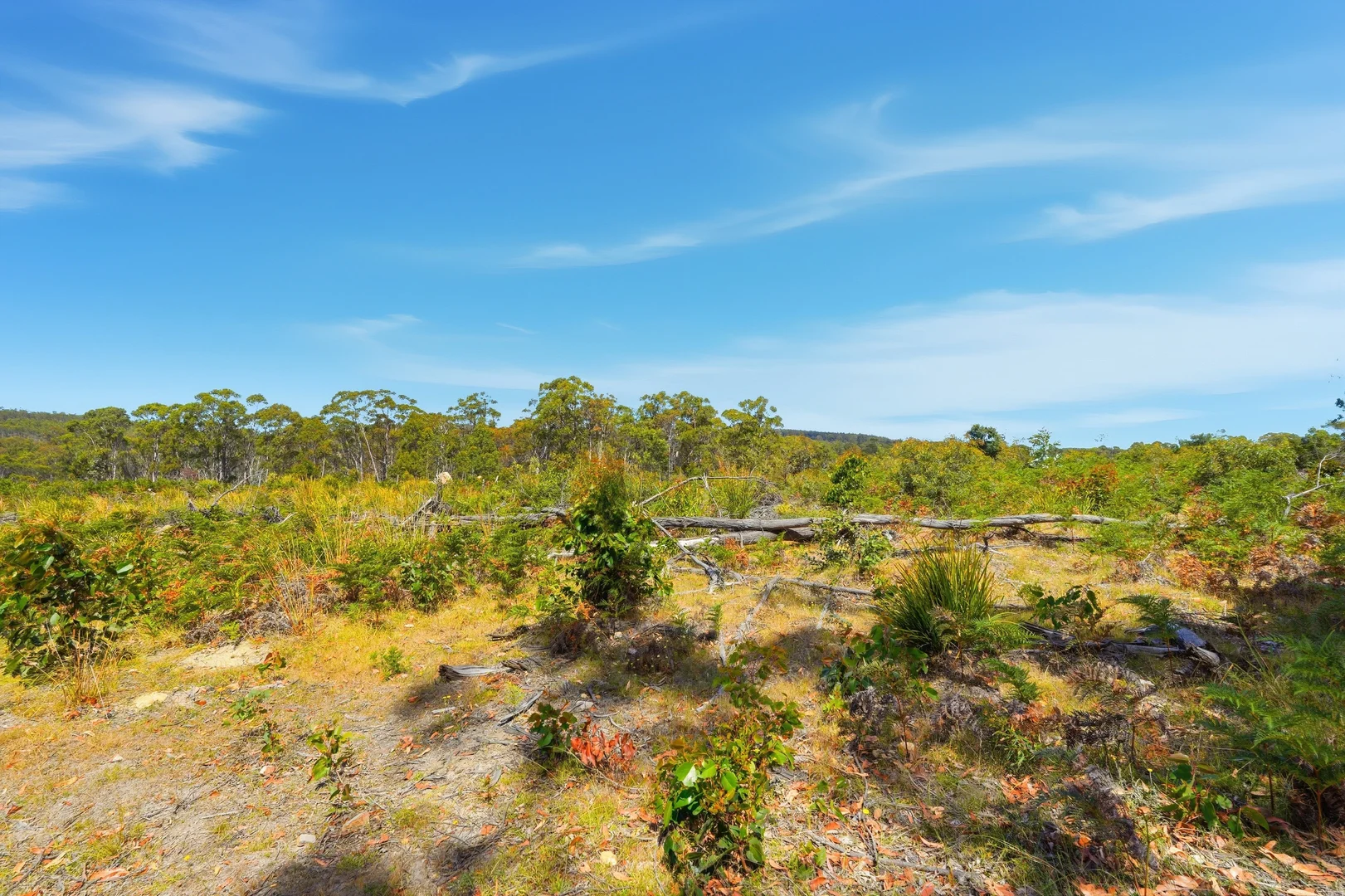 Additional image 16 of 422 Levendale Back Road, Levendale TAS 7120