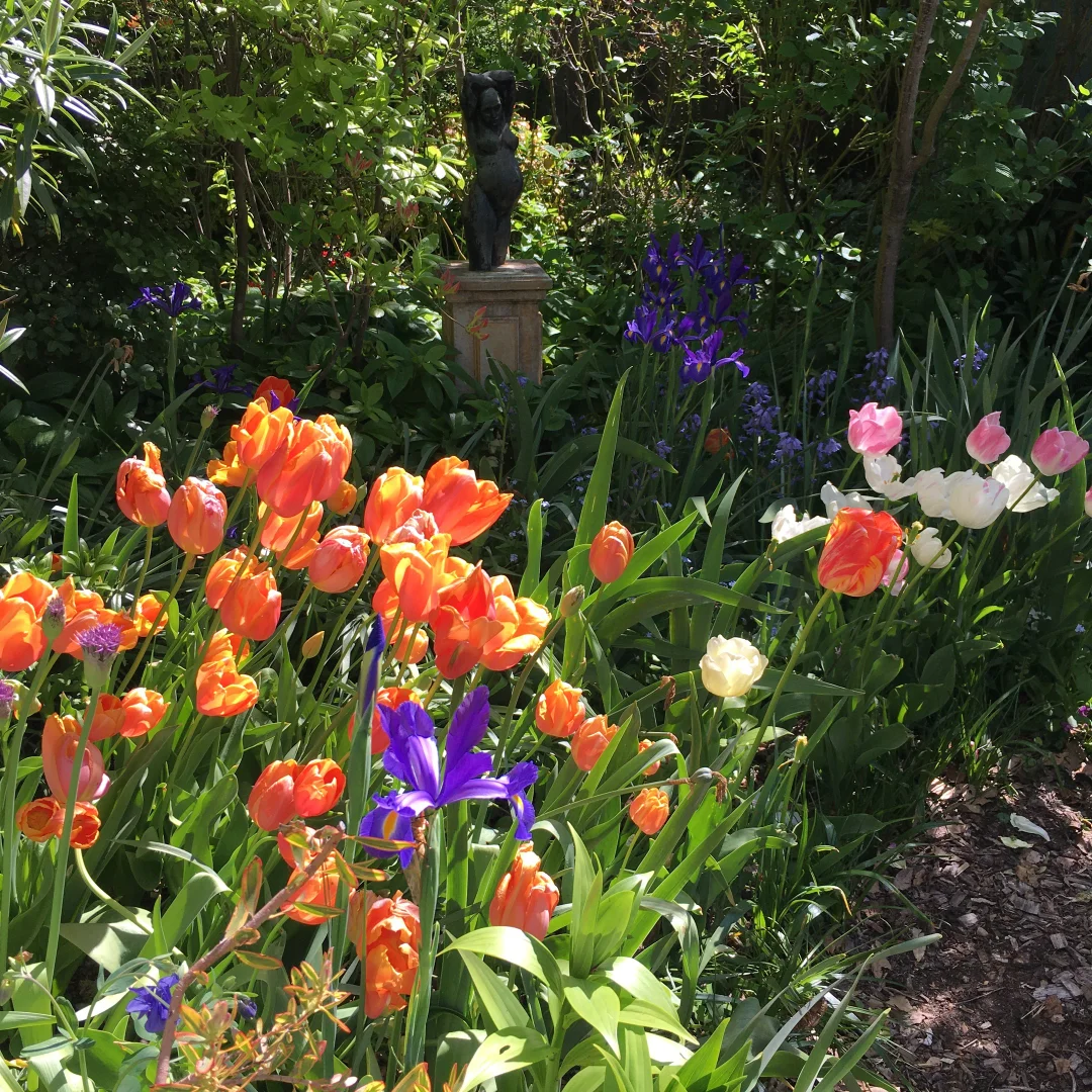 Additional image 20 of 4 Dunmore Street, Katoomba NSW 2780