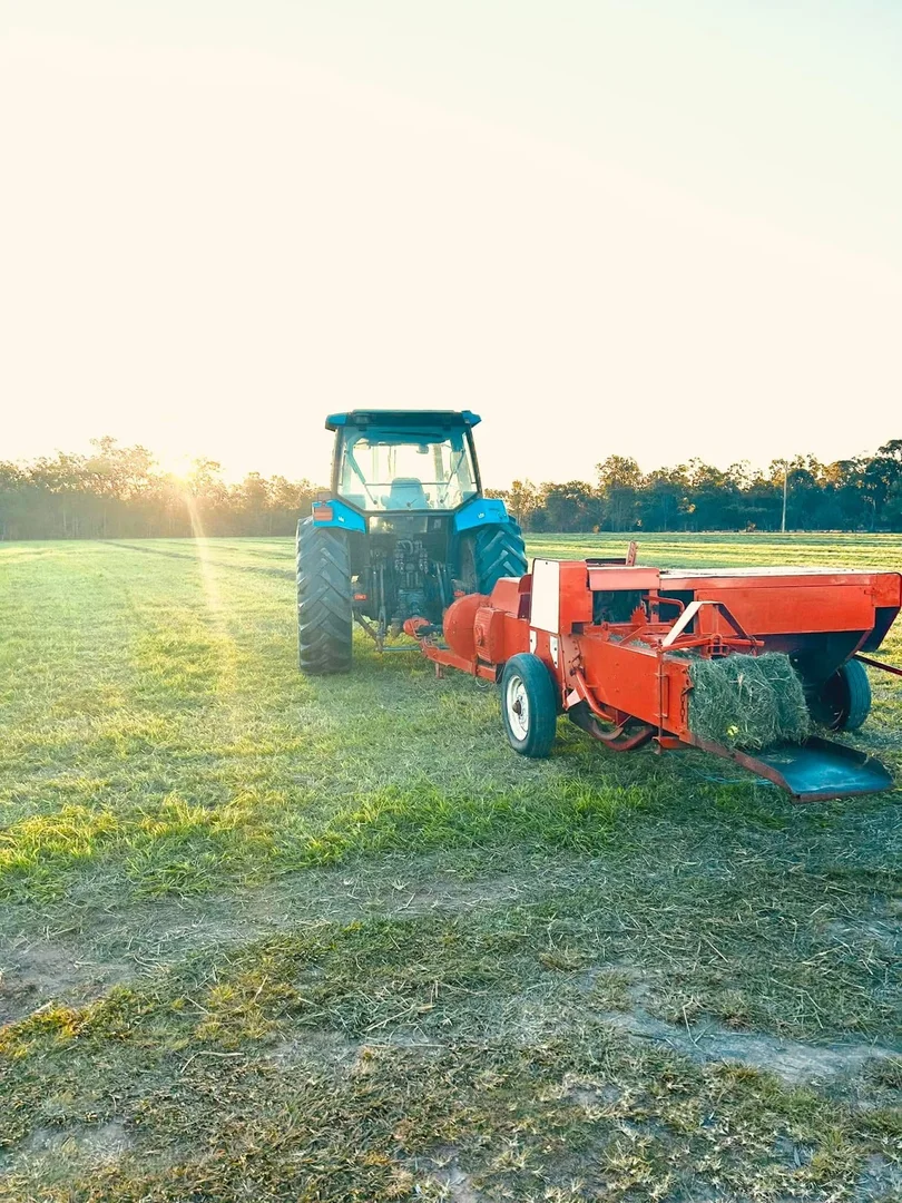 Additional image 6 of 30 McKenzies Road, North Isis QLD 4660