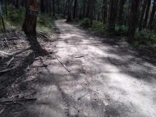 Additional image 5 of Lot 1 Mount Charlie Road, Riddells Creek VIC 3431