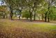 Additional image 8 of Norwood Park Road, West Norwood, SE27