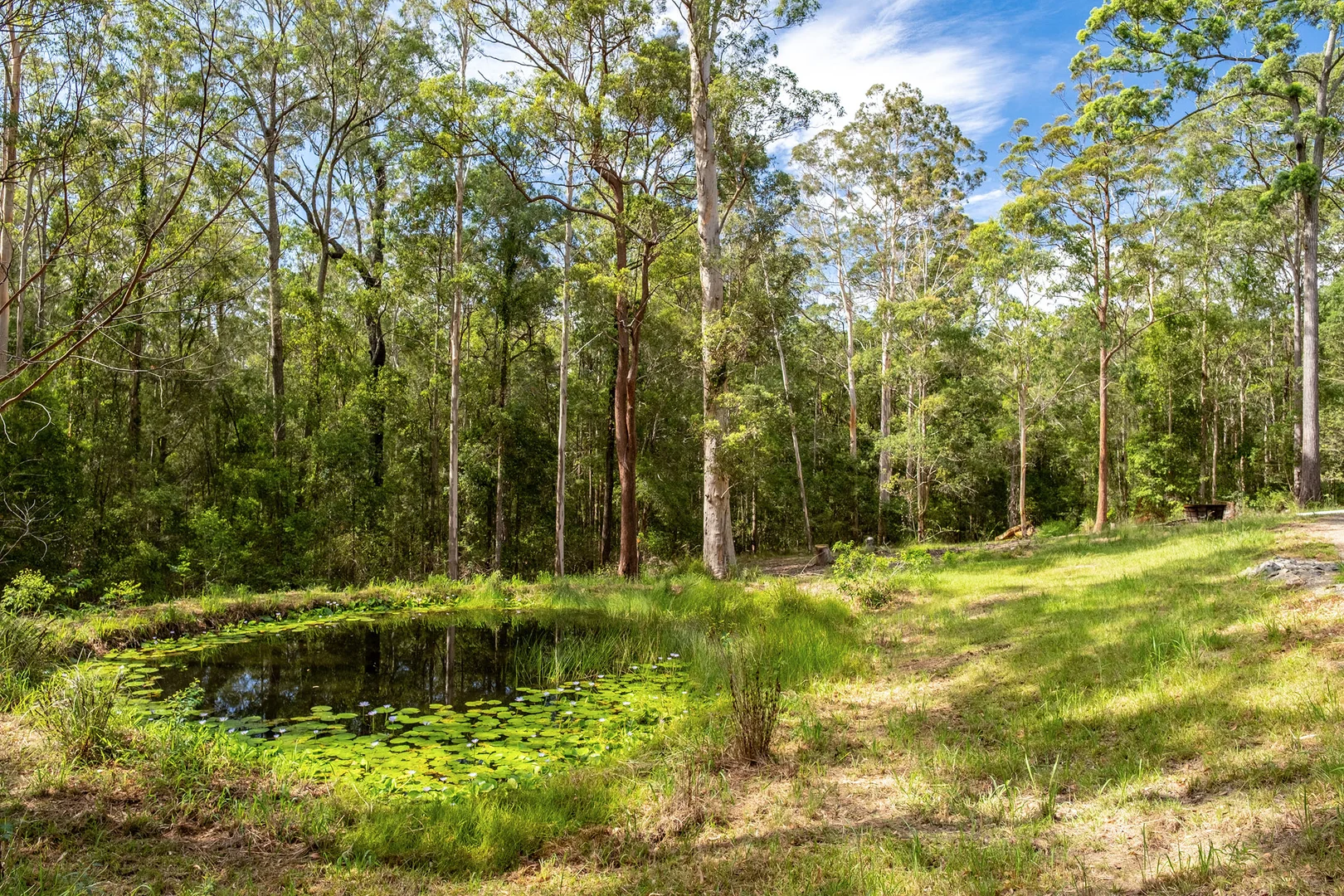 Additional image 16 of 897 Wattley Hill Road, Bungwahl NSW 2423