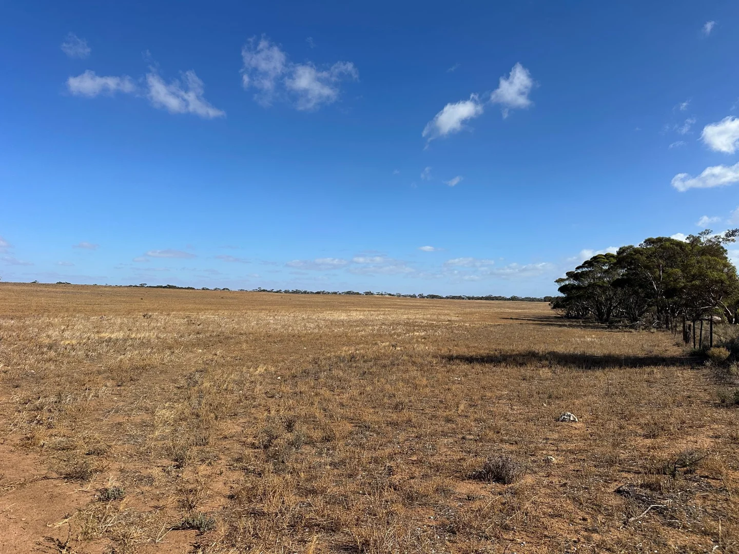 Additional image 3 of Lot 1 Schulzs Road, Black Hill SA 5353