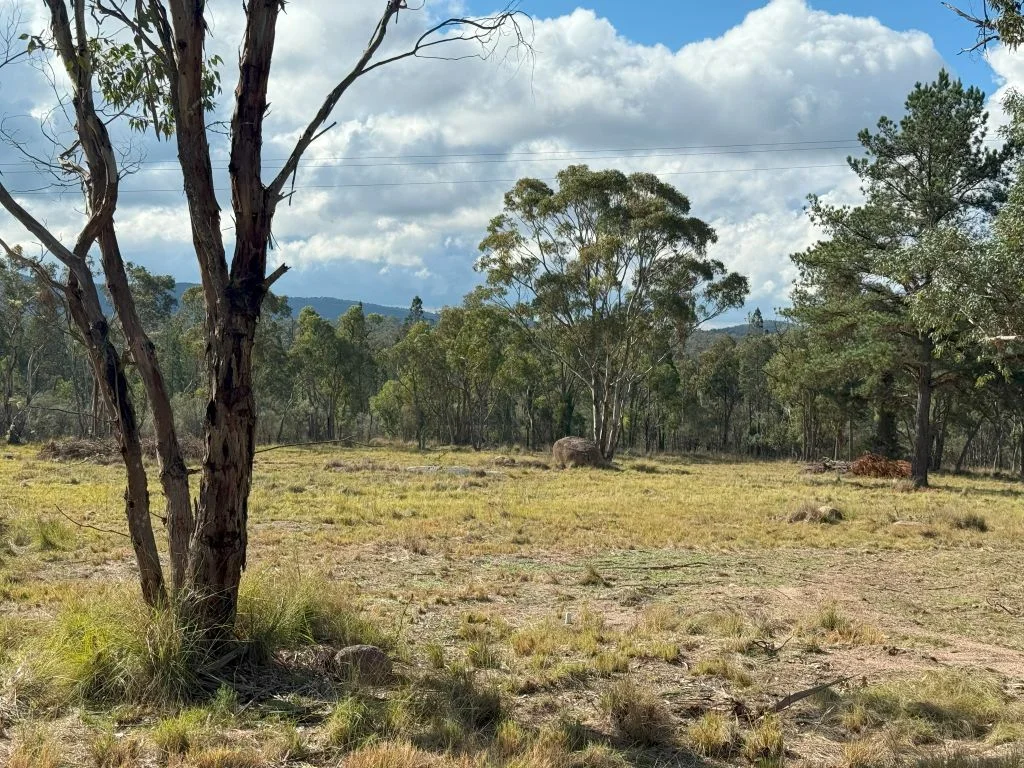 Additional image 13 of Lot/89 Fletcher Road, Ballandean QLD 4382