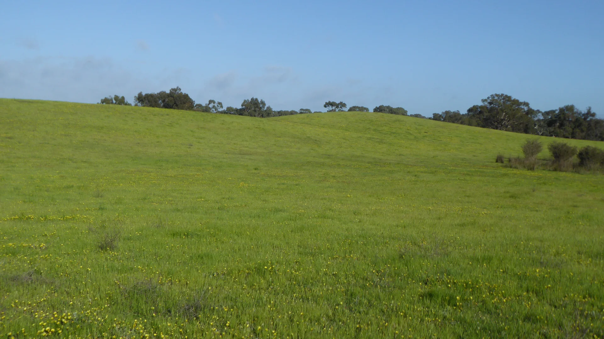 Additional image 17 of 2448 Bangham Road, Frances SA 5262