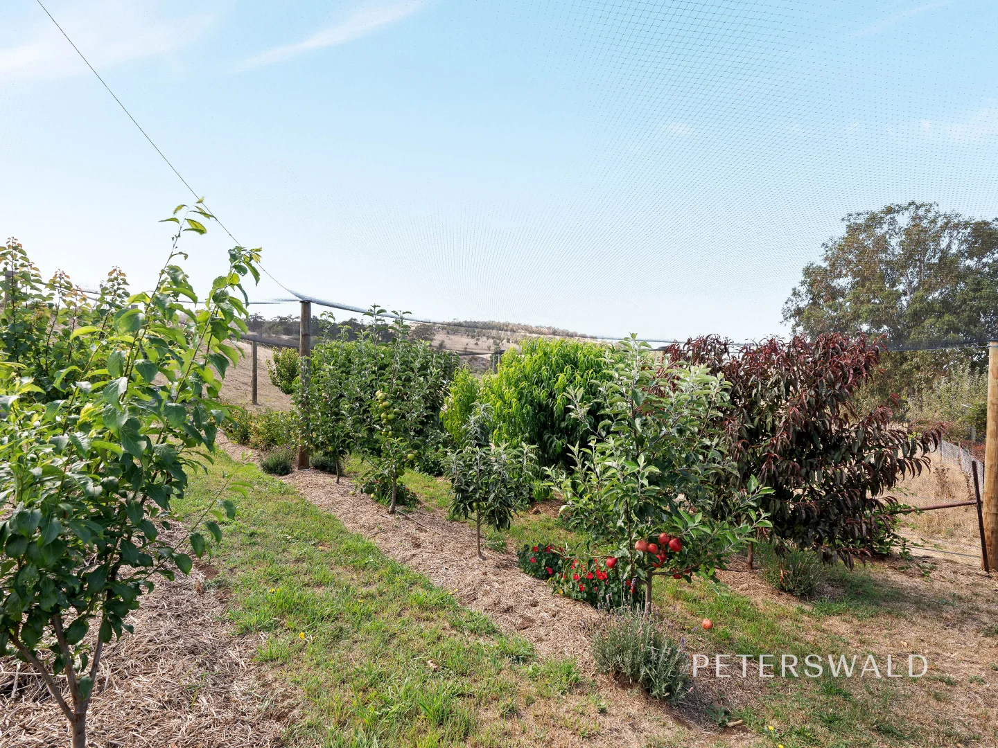 Additional image 22 of 13 Jacombe Street, Richmond TAS 7025